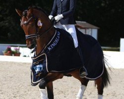 stallion Belaggio 2 (Hanoverian, 2012, from Belissimo NRW)