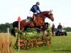 dressage horse Lysander 121 (Hessian Warmblood, 2003, from Lone Star)