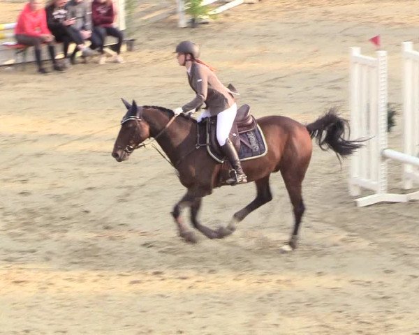 Reitturnier Buchenhof-Ibbenbüren 2018
