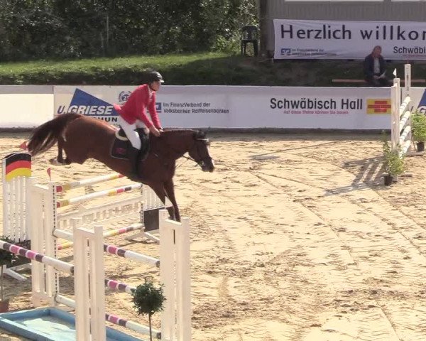 Reitturnier Buchenhof-Ibbenbüren 2018