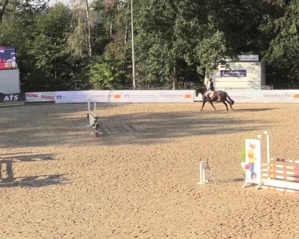 Reitturnier Buchenhof-Ibbenbüren 2018