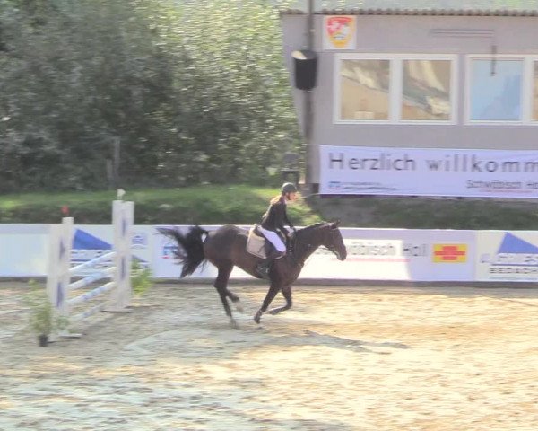 Reitturnier Buchenhof-Ibbenbüren 2018