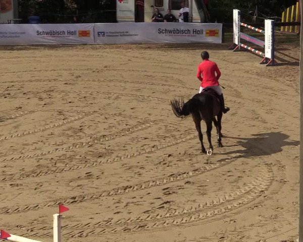 Reitturnier Buchenhof-Ibbenbüren 2018