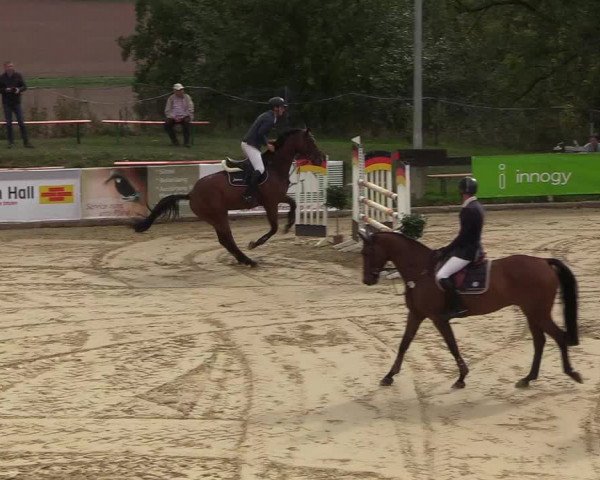 Reitturnier Buchenhof-Ibbenbüren 2018