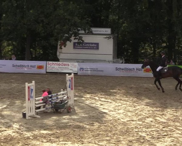 Reitturnier Buchenhof-Ibbenbüren 2018