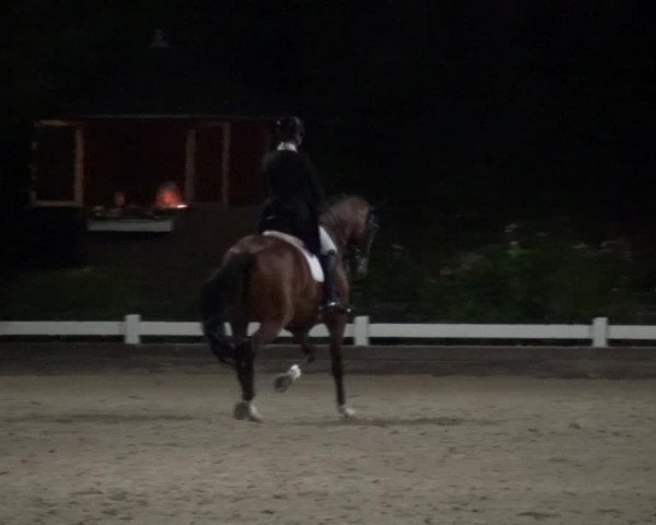 Reitturnier Mettmann - Reitanlage Löckenhoff 2018