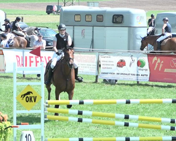 Springkonkurrenz Aadorf 2018