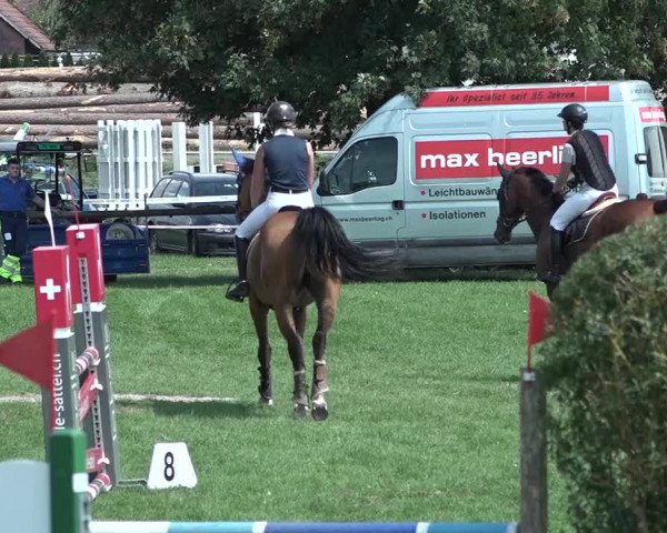 Springkonkurrenz Aadorf 2018