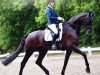 dressage horse Show Me Heaven 2 (Hanoverian, 2008, from San Remo)