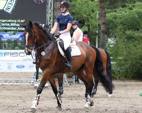 jumper Atlanta (KWPN (Royal Dutch Sporthorse), 2005, from Oklund)