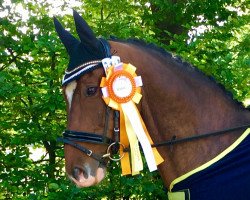 horse Pik Peridot (Westphalian, 2002, from Picadeur)