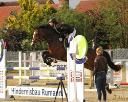 broodmare Lacordiana (Westphalian, 2005, from Lacordos)