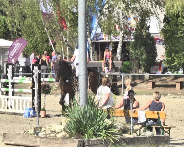 Reitturnier Neunkirchen-City 2018