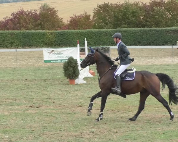 Reitturnier Nußdorf 2018