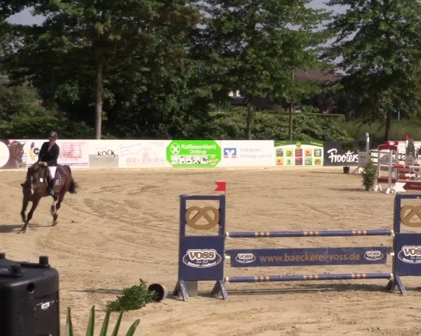 Dressur- und Springturnier Ochtrup 2021