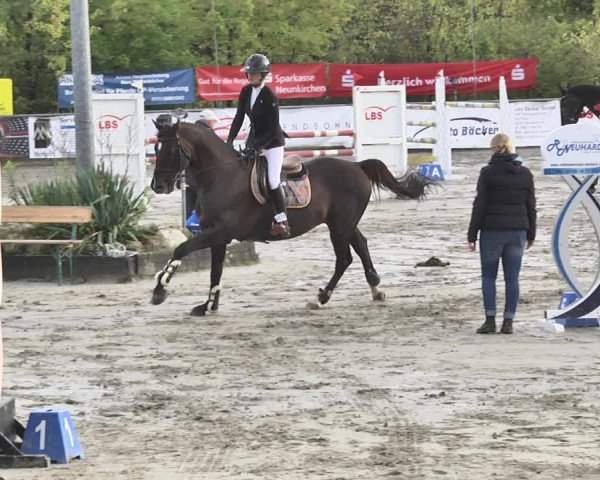 Reitturnier Neunkirchen-City 2018