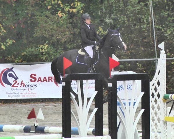Reitturnier Neunkirchen-City 2018