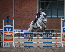 jumper Dextra 4 (Deutsches Reitpony, 2012, from Dexter Leam Pondi)