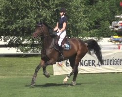 jumper Chicceria (Hanoverian, 2012, from Christ)