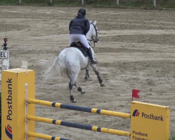 Reitturnier Köln-Leverkusen 2018