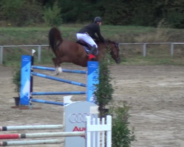 Reitturnier Köln-Leverkusen 2018