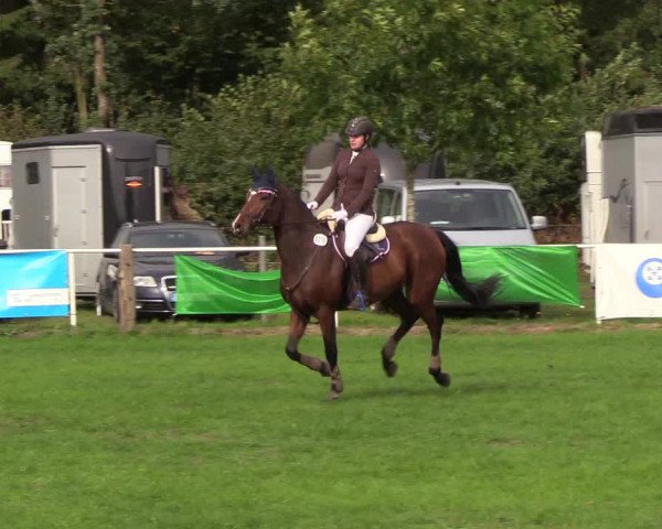 Reitturnier Kellinghusen 2018