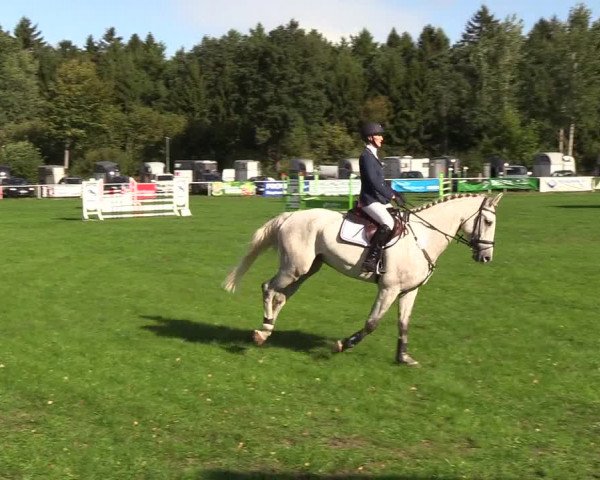 Reitturnier Kellinghusen 2018