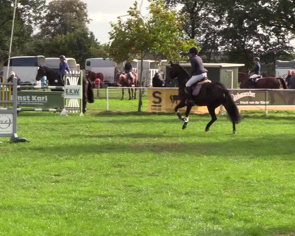 Reitturnier Kellinghusen 2018