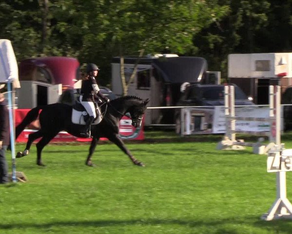 Reitturnier Kellinghusen 2018