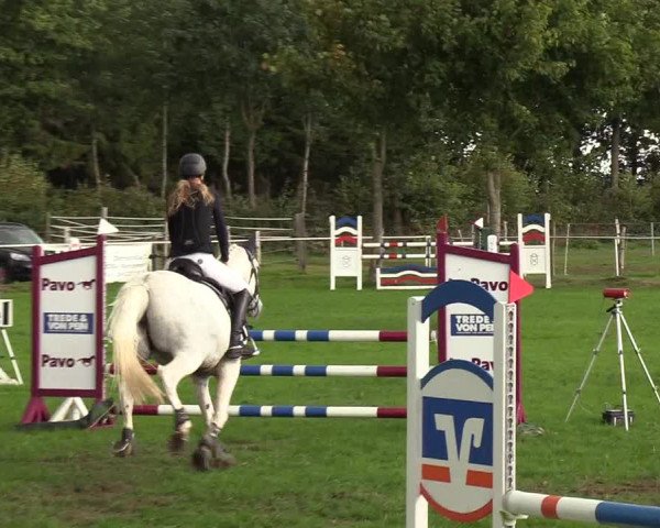 Reitturnier Kellinghusen 2018