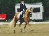 dressage horse Don Caramello 3 (German Riding Pony, 2011, from Donnerwetter)