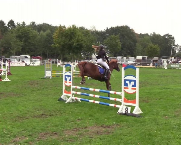 Reitturnier Kellinghusen 2018