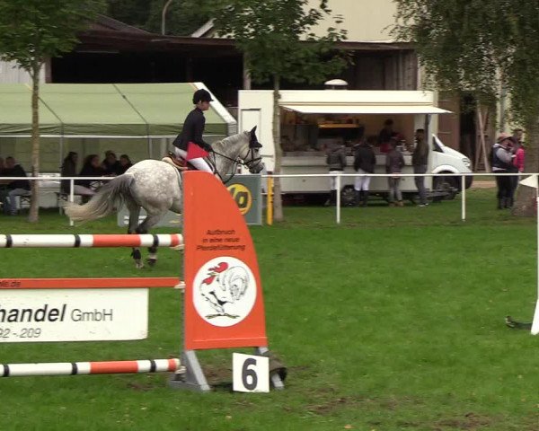 Reitturnier Kellinghusen 2018