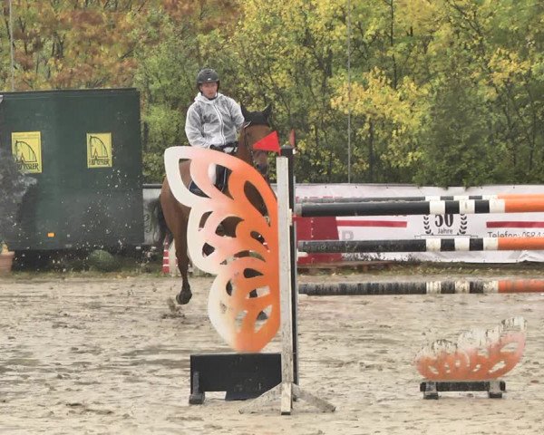Reitturnier Neunkirchen-City 2018