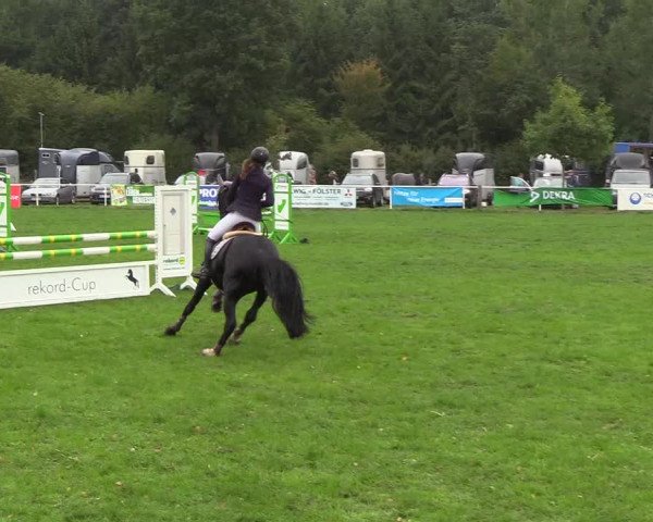Reitturnier Kellinghusen 2018