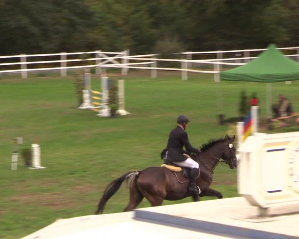Reitturnier Müncheberg 2018