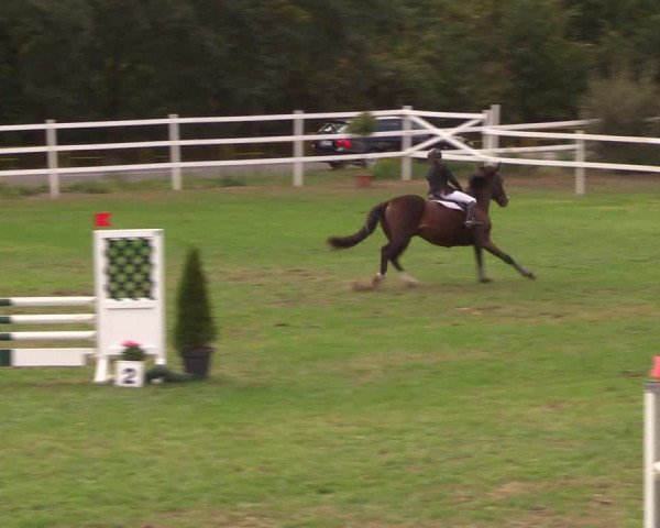 Reitturnier Müncheberg 2018