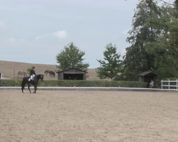 Reitturnier Müncheberg 2018