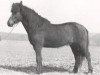 broodmare Nös frá Gunnarsholti (Iceland Horse, 1979, from Lyftingur frá Gunnarsholti)