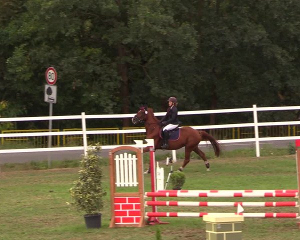 Reitturnier Müncheberg 2018