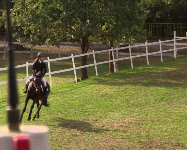 Reitturnier Müncheberg 2018