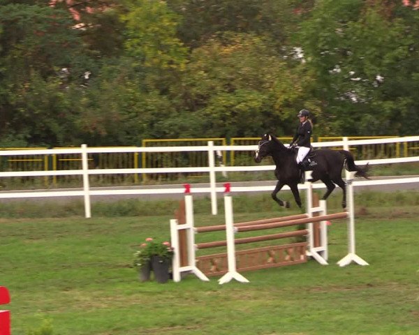 Reitturnier Müncheberg 2018