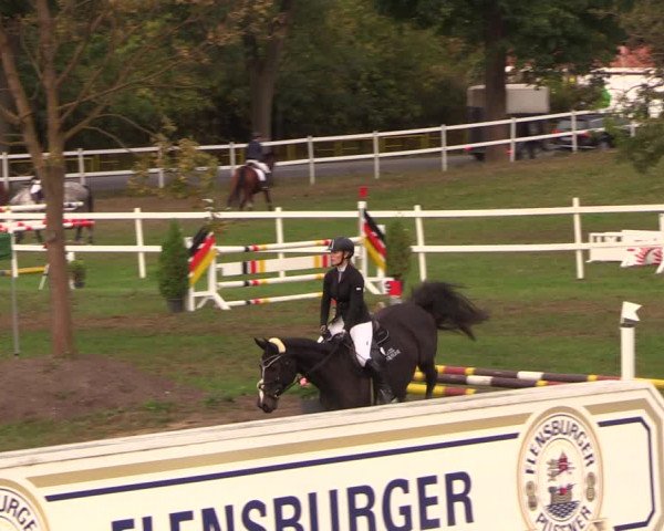 Reitturnier Müncheberg 2018