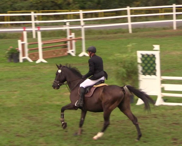 Reitturnier Müncheberg 2018