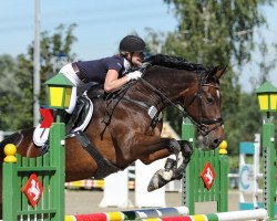 dressage horse Caesar FS (Westphalian, 2002, from Collin L)