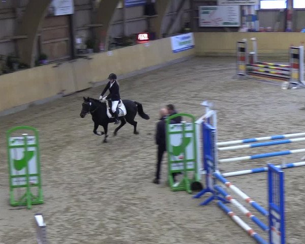 Reitturnier Sörup 2018