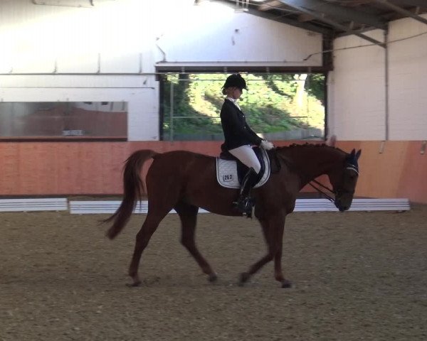 Reitturnier Ratingen-Hösel - Gut Gützenhof 2018
