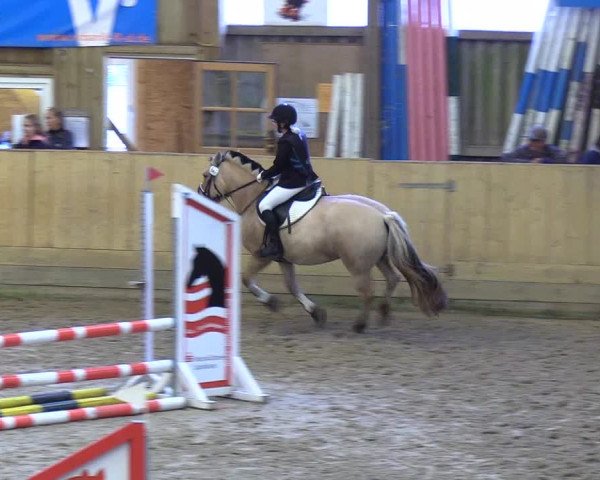 Reitturnier Sörup 2018