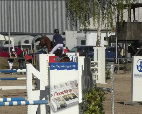 Reitturnier Pforzheim 2018
