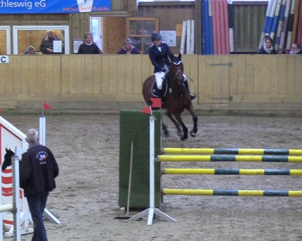 Reitturnier Sörup 2018